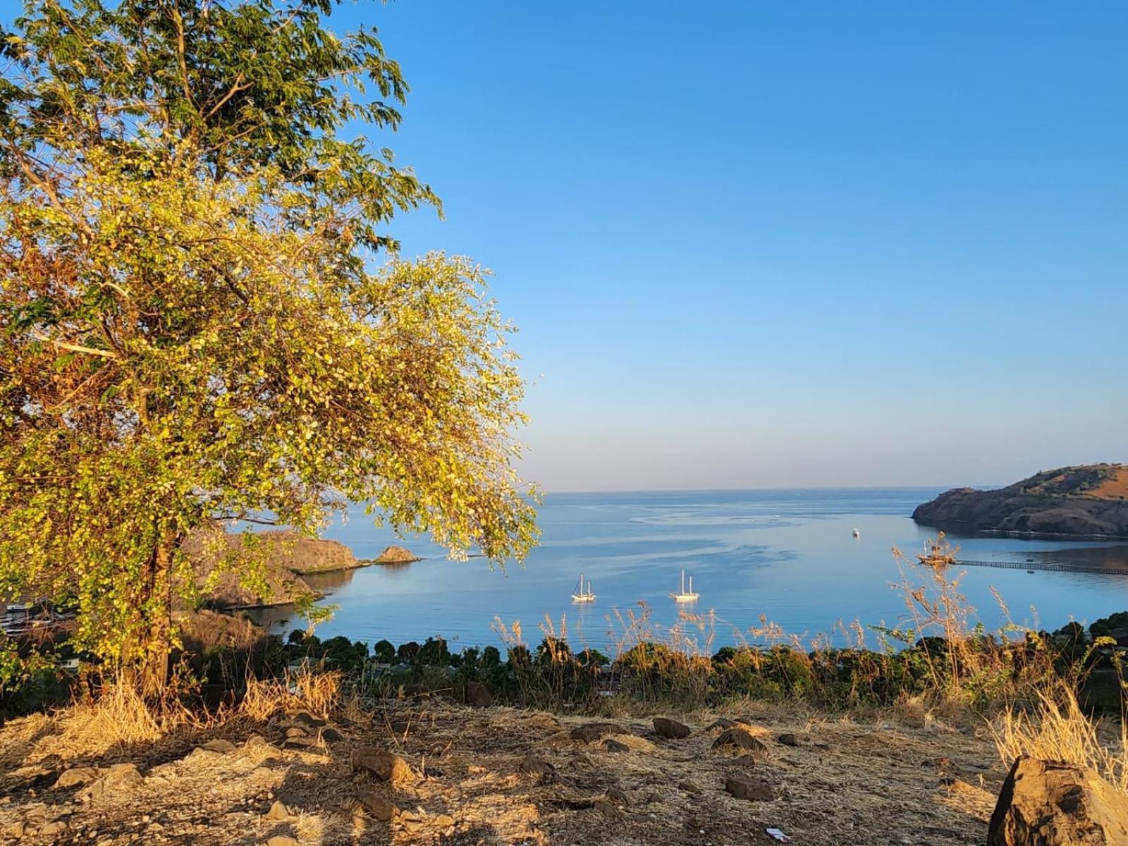 Sylvia Hotel & Resort Komodo Лабуан Баджо Екстериор снимка